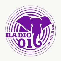Radio 016, Leskovac